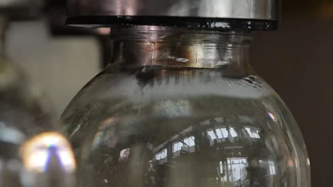 Birch Sap production Stock Footage 287917374