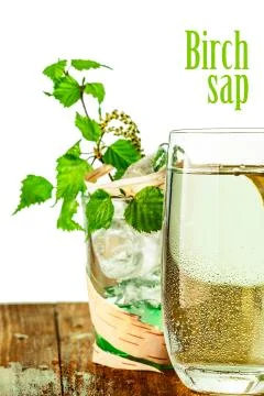 Birch sap on table Stock Illustration
