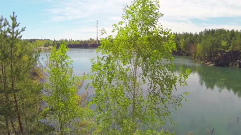 Birch on the stony shore. The camera moves back Stock Footage 49824933