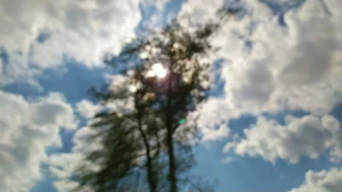 Birch sways in the wind and rustles leaves Video stock 131041503