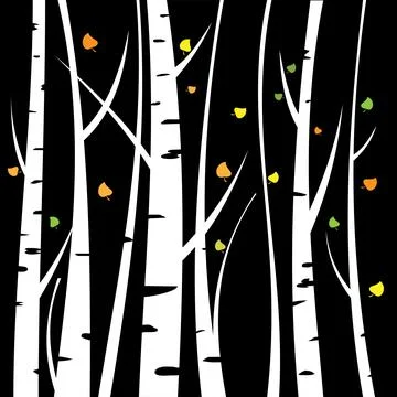 Birch three for you design Illustrazione stock
