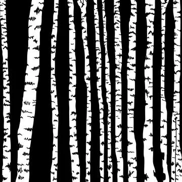 Birch three for you design Illustrazione stock