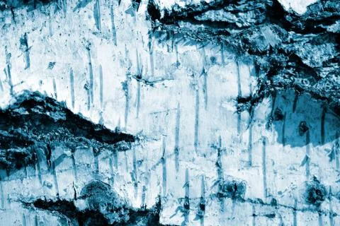 Birch tree bark close up. Abstract natural background blue color toned Stock Photos