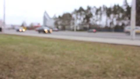 Birch tree bark closeup Video stock 123712913