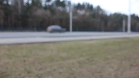 Birch tree bark closeup Video stock 123712943