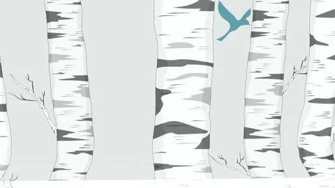 Birch Tree Bark Illustration Loop Video stock 318955007