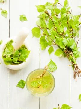Birch tree drink Stock Photos