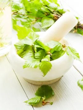 Birch tree drink Stock Photos