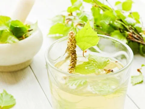 Birch tree drink Stock Photos
