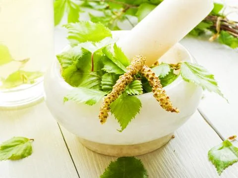 Birch tree drink Stock Photos