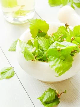 Birch tree drink Stock Photos