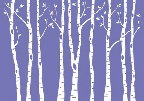 Birch tree forest, vector background illustration Stock Illustration