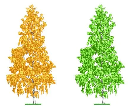 Birch tree Stock Illustration