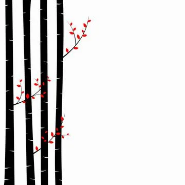 Birch tree Stock Illustration