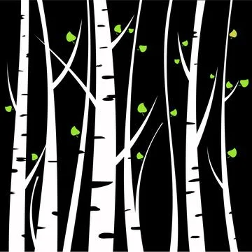 Birch tree Stock Illustration