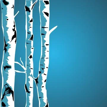 Birch tree 스톡 일러스트