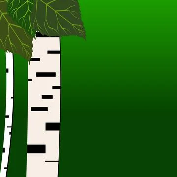 Birch tree Stock Illustration