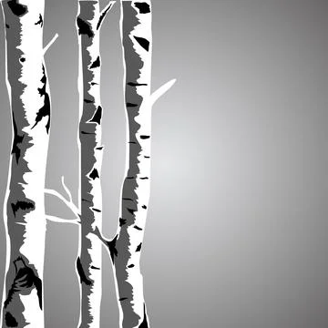 Birch tree Stock Illustration
