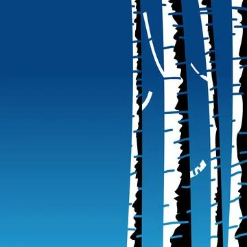 Birch tree Stock-Illustration