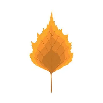 Birch Tree Leaf Stock Illustration