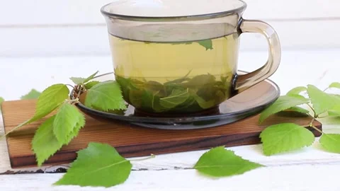 Birch tree leaf tea, Betula served in a clear glass cup on a white. Stock Footage 340146903