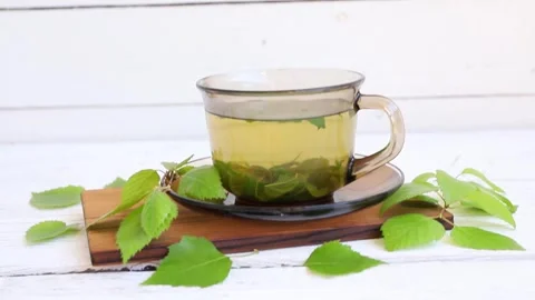 Birch tree leaf tea, Betula served in a clear glass cup. Stock Footage 340146910