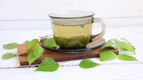 Birch tree leaf tea, Betula served in a clear glass cup. Stock Footage 340146937