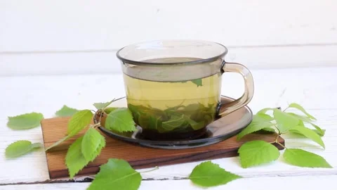 Birch tree leaf tea, Betula served in a clear glass cup on a white. Stock Footage 340146968