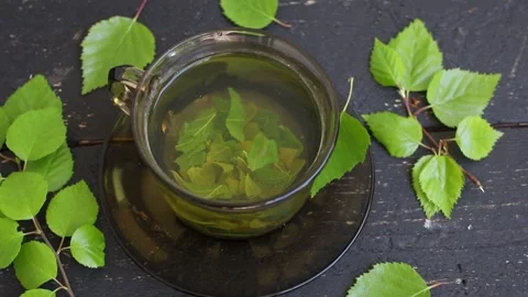 Birch tree leaf tea in a glass cup, Betula medicinal herbal tea. Stock Footage 340146978