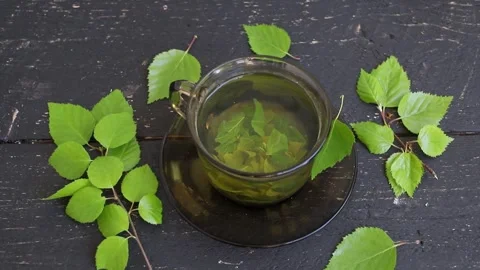Birch tree leaf tea in a glass cup, Betula medicinal herbal tea. Stock Footage 340146983
