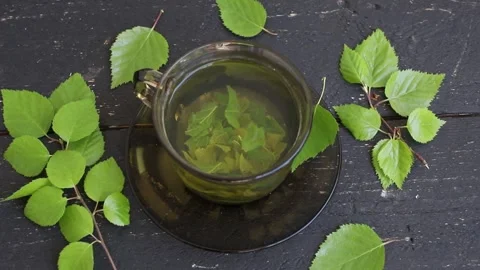Birch tree leaf tea in a glass cup, Betula medicinal herbal tea. Stock Footage 340146987