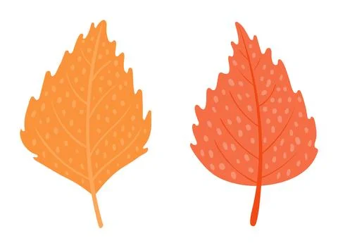 Birch tree leaves in autumn isolated set Stock Illustration