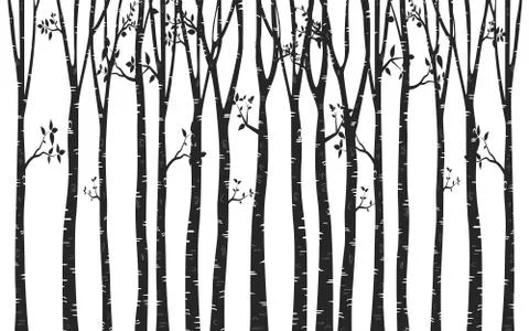 Birch Tree Silhouette Background Stock Illustration