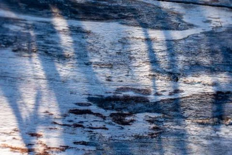 Birch tree stem background with bark. Light and shadows, silhouette of leaves Stock Photos