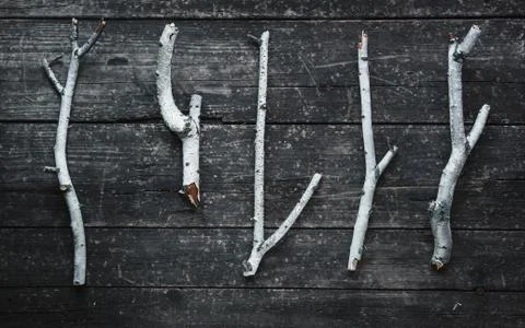 Birch tree trunks and branches on natural wood background Stock Photos