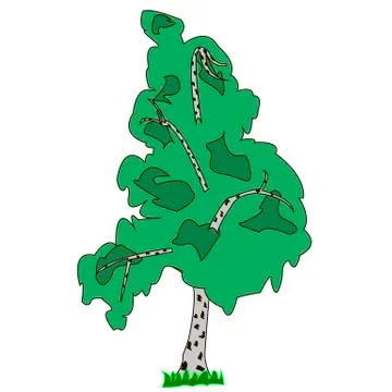 Birch tree on a white background Stock Illustration
