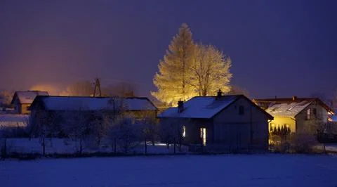 Birch-tree in winter. Stock Photos