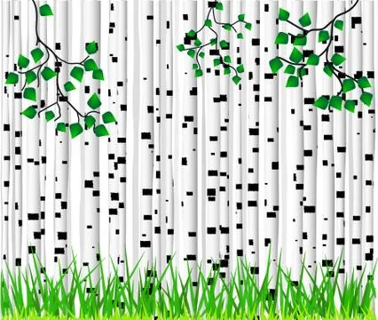 Birch trees and grass background Stock Illustration