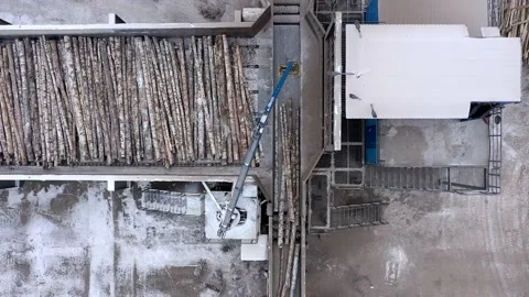 Birch trees are processed into chipboard at the factory Vidéo 169887616