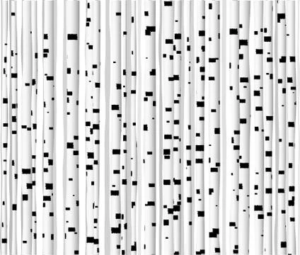 Birch trees background Stock Illustration