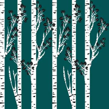 Birch trees background Stock Illustration