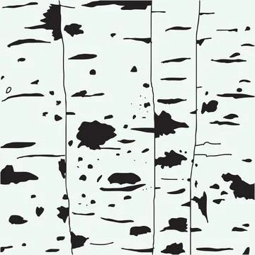 Birch trees background Stock Illustration