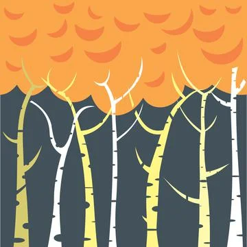 Birch trees background Stock Illustration