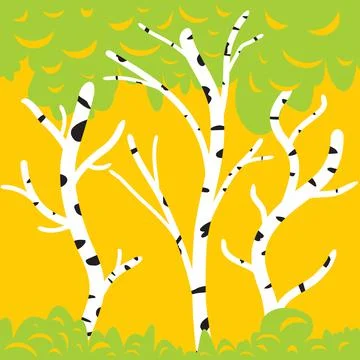 Birch trees background Stock Illustration