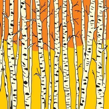 Birch trees background Stock Illustration