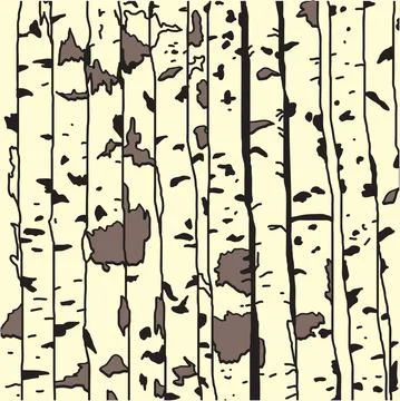 Birch trees background Stock Illustration