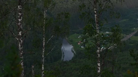Birch trees framing a serene river valley Vídeo Stock 323320485