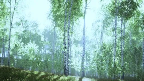 Birch trees on the green grass Stock Illustration