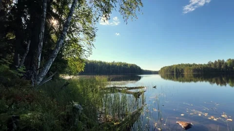 Birch Trees Reflecting on Lake at Sunset Peaceful Stock Footage 317629373