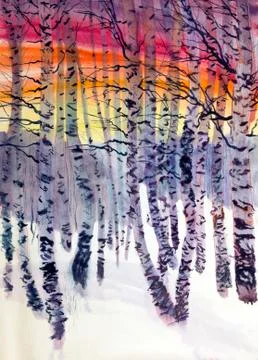 Birch in winter Stock Illustration